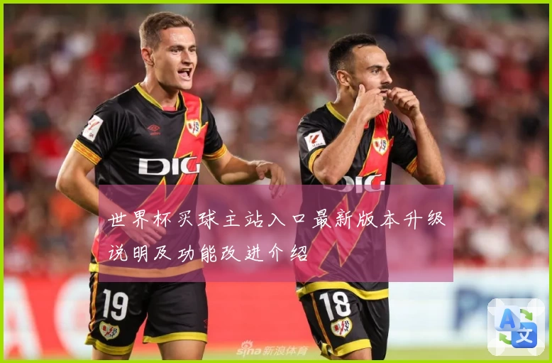 世界杯买球主站入口最新版本升级说明及功能改进介绍