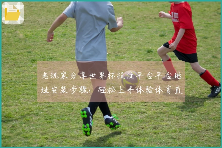 老玩家分享世界杯投注平台平台地址安装步骤，轻松上手体验体育直播