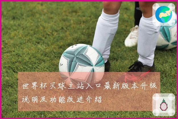 世界杯买球主站入口最新版本升级说明及功能改进介绍
