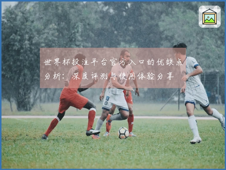 世界杯投注平台官方入口的优缺点分析：深度评测与使用体验分享